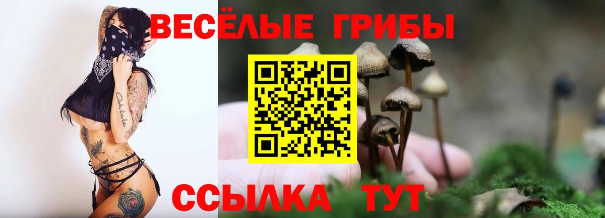 Солнечногорск  Псилоцибиновые грибы GOLDEN TEACHER  Галлюциногенные грибы мицелий  Вход с VPN 